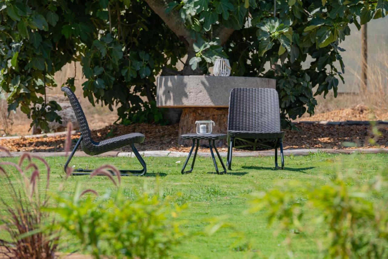 Casas Da Bica - Turismo Espaco Rural Cercal do Alentejo Dış mekan fotoğraf